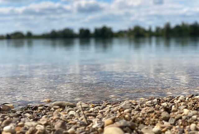Schönen Urlaub – KW  31/ 20
