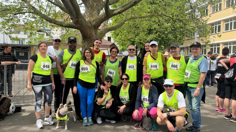 Teilnahme am 27. Bruchsaler Hoffnungslauf | KW 25/2024